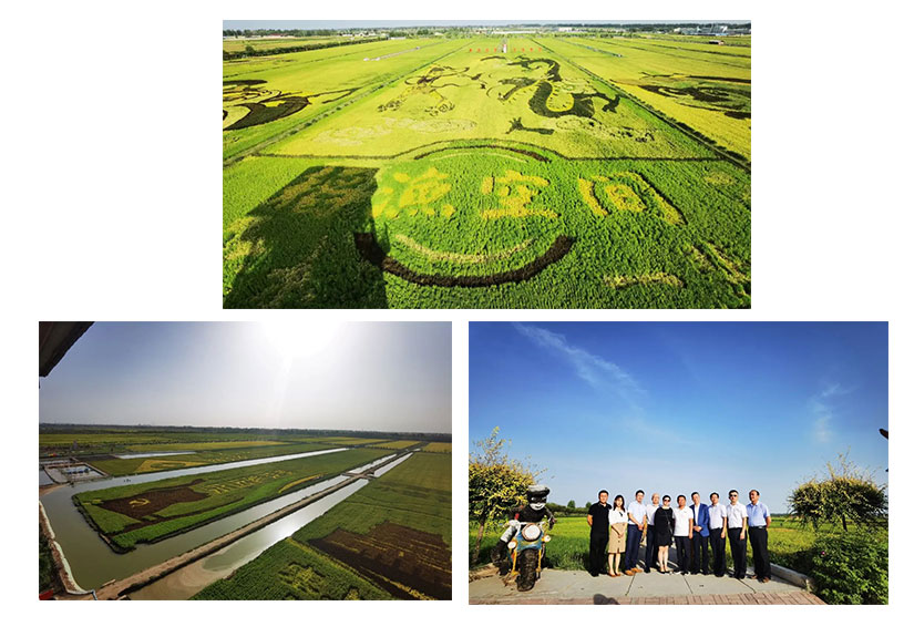 遠(yuǎn)瓴數(shù)據(jù)集團(tuán)與銀川市人民政府交流座談活動(dòng)圓滿結(jié)束